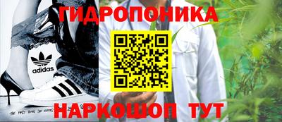 шишки Малгобек
