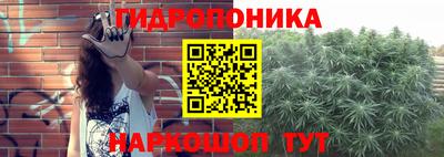 шишки Малгобек