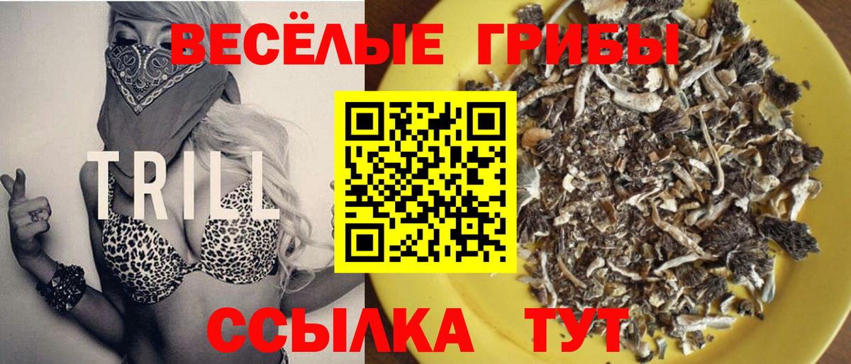 Горячий Ключ  Галлюциногенные грибы мухоморы  как найти наркотики  Галлюциногенные грибы Cubensis  Вход с VPN 