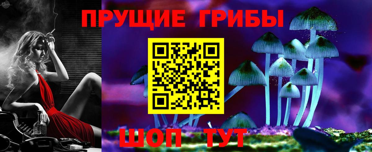 Псилоцибиновые грибы мухоморы Горячий Ключ